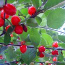 광장65호 이미지