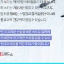 스키터증후군 스키터증후군 스키터증후군 모기 알레르기 이미지