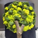 객현1리 이미지