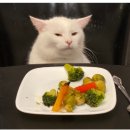 피트인피트니스 이미지