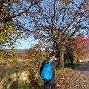 버스정류소_남원우체국 이미지