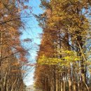 경주숲 3,4 이미지