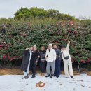 (주)제주미니버스투어서비스 | 제주 15인승 미니버스 투어 | 쏠라티 렌트 2월 여행 후기