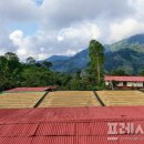 문상윤 농장 이미지