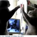 짝짜꿍 Daum카페