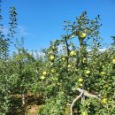 금곡삼거리식당 이미지
