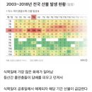 식목일이 공휴일에서 빠진 이유 이미지