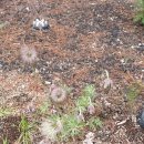 한탑공인중개사사무소 이미지