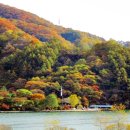 에끄랑펜션 이미지