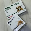 강아지와고양이나라 동물병원 | 동물병원 강아지영양제 추천 결석건강보조제 벨릭서 유리너리C300