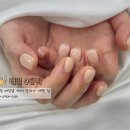 네일0단지