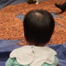 통합놀이 오감대장(6~10개월 B) | 광교 갤러리아 문화센터 정서애착놀이 유아공감 후기 및 추천