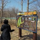 하중도길 이미지