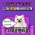 (주)더조은펫타운 이미지