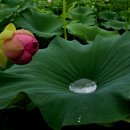 송우리터미널 버스정류장(40117) 이미지