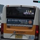 2019-주114 이미지