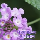 축복 이미지