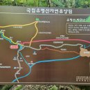 제58차 - 유명산 계곡 이미지