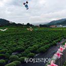 인삼약초로 이미지