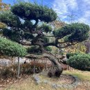 덕수농수산물