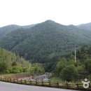 지장천로 이미지