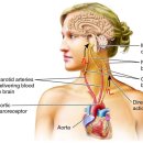 영은한의원 이미지