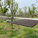 청라캠핑파크 이미지