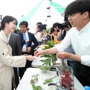 유담 이미지
