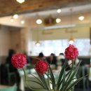 평강약국 이미지