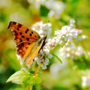 탑동농장 이미지