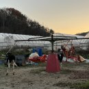 묵방목장 이미지