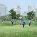 파크골프장 이미지