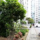 갑오마을11단지 부영e그린타운(e그린1차) 이미지