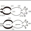 봄내중학교 이미지