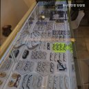 포나인안경 탄현점 이미지