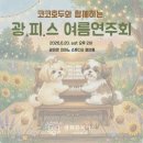 여름의피아노스튜디오 | (광화문 성인 피아노) 코코호두와 함께하는 여름 연주회 후기🐶🌻