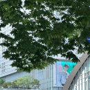 경주최문 충효각 | [주차정보]98회 세계아동미술대회 수상_상암 누리꿈스퀘어_킨텍스 제2전시장 6홀 주차
