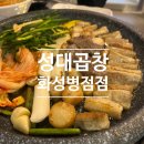 곱창매니아 | 진안동맛집 성대곱창 병점점, 입안 가득 고소함이 터지는 병점곱창 리얼 후기!
