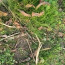 선행농원 이미지