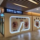 미용하개 이미지