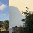 오선 | 🏠 제주도 숙소 추천 [오션스퀘어 리조트] 동쪽 오선뷰 펜션 내돈내산 후기, 섭지코지