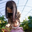 봄이네 농장 이미지