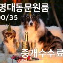 계명대학교 동문 2 이미지