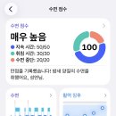 디즈네일 | 이렇게 살다가 죽을래