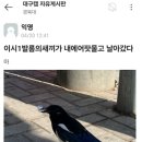 까치자동차 이미지