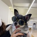 뭉스벨리 이미지