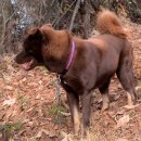 대장농원 이미지