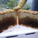 자연애농장 이미지