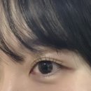 (주)아우라디자인연구소 | 탄방동 속눈썹펌 아우라뷰에서 무쌍 탱글속눈썹펌 하고 온 후기