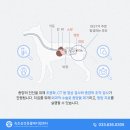 속초삼성동물병원 이미지